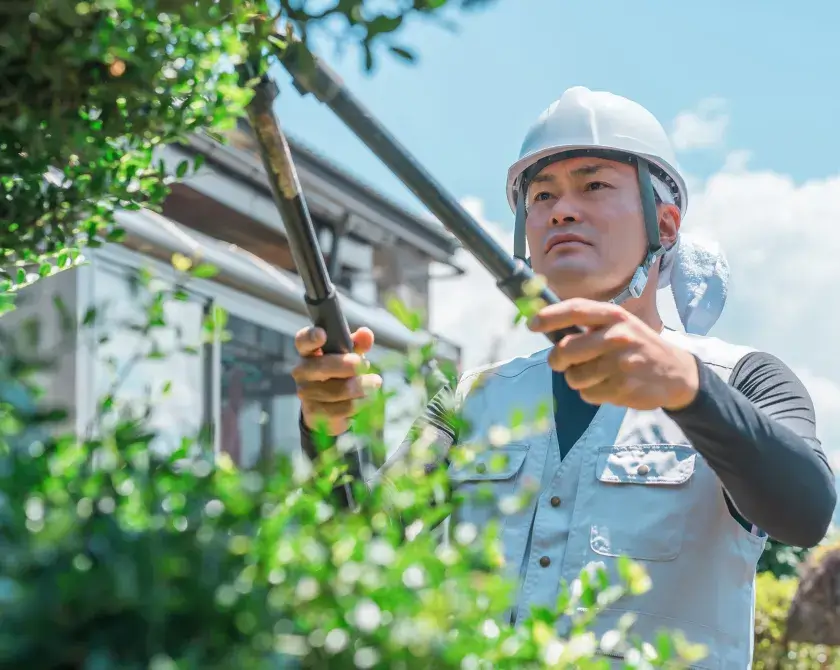 一緒に働く仲間を募集中